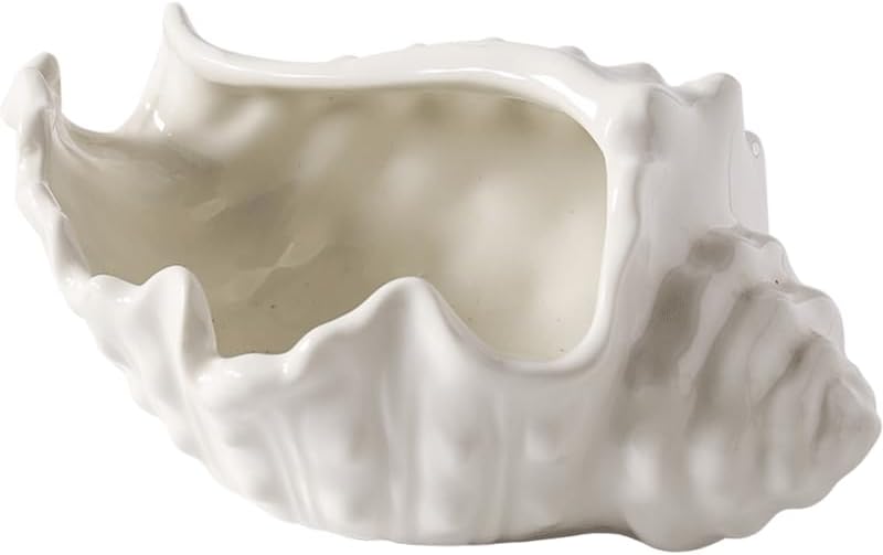 Conch jewelry tray